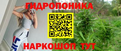 гидропоника Кулебаки